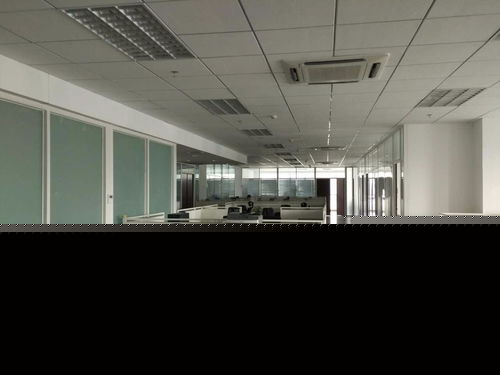 看準(zhǔn)網(wǎng)在軟件開(kāi)發(fā)領(lǐng)域的應(yīng)用與價(jià)值